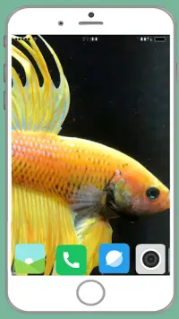 Fish Full HD Wallpaper Screen Shot 5
