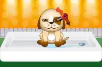 Bathing Dogs Caring Game Screen Shot 3