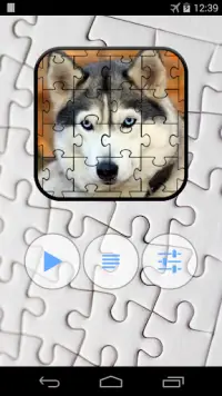 Husky Jigsaw Puzzle Screen Shot 0