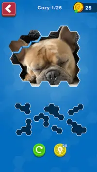 Hexa Puzzle Jigsaw: Anime Collection Screen Shot 3