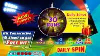 I.P.L T20 Cricket 2016 Craze Screen Shot 5