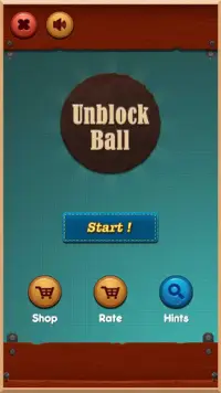 Unblock Ball Puzzle Screen Shot 0