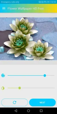 Flower Wallpaper HD Screen Shot 8