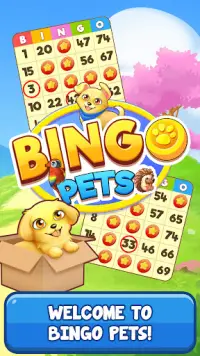 Bingo:  Free the Pets Screen Shot 0