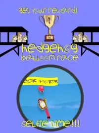 Hedgehog Balloon Race Screen Shot 15
