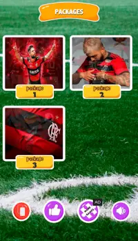 Jogo do Flamengo Quebra-cabeça Screen Shot 1