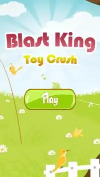 Blast King : Toy Crush Screen Shot 0