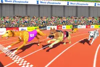 Dog Race Game: Dog Racing 3D Screen Shot 10