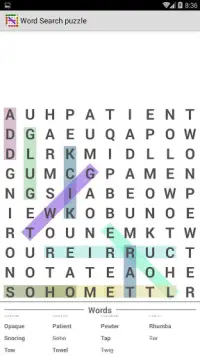 Word Search Puzzle : Search in Word Screen Shot 11