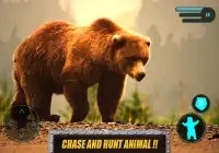 Wild Bear Real 3D Simulator Screen Shot 7