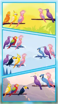 Bird Sort - Color Birds Game Screen Shot 7