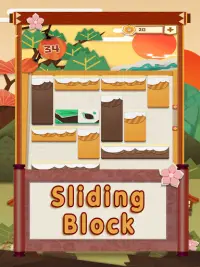 Unblock Bird - Puzzle Sliding Block Games Screen Shot 6