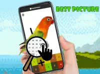 Birds Color By Number Screen Shot 5