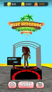 Super Leon Adventure - Blue Hedgehog Run Screen Shot 0