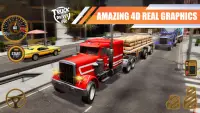 Truck Driver Pro Screen Shot 0