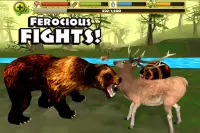 Wildlife Simulator: Bear Screen Shot 3