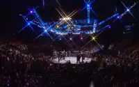 Action: WWE VS UFC Warriors Screen Shot 0
