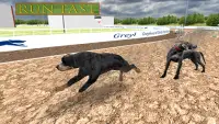 pet racing Stunt Simulator: real dog game Screen Shot 3