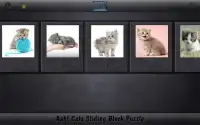Aah! Cats Sliding Block Puzzle Screen Shot 3