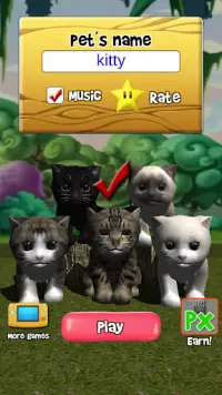 Talking Kittens virtual cat that speaks, take care Screen Shot 1