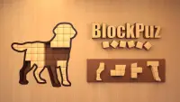 BlockPuz: Wood Block Puzzle Screen Shot 7