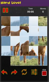 لعبة ترتيب الصور - صور خيول Screen Shot 3