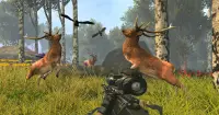 الغزلان الصيد 2020 - لعبة رماية قناص الحيوان Screen Shot 3