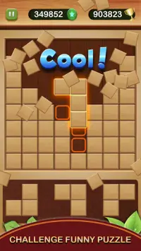 Wood Block Puzzle Games 2021 - Wooden Block Puzzle Screen Shot 1