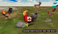 Farm Rooster Run- Angry Chicken Race Hero Screen Shot 3