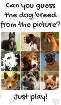 Dog Breeds Quiz Screen Shot 2