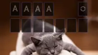 Solitaire Cute Cats Theme Screen Shot 3