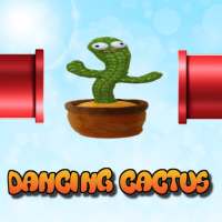 Dancing Cactus And Bird Fall