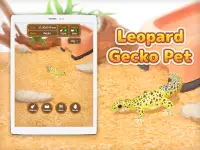 Leopard Gecko Pet Screen Shot 1