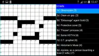 Crosswords US Style : ACE Vol2 Screen Shot 1