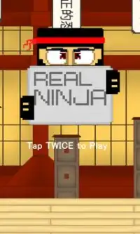 Real Ninja Screen Shot 0
