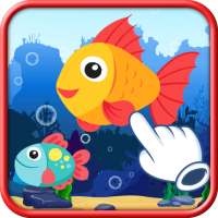 Tap Fish