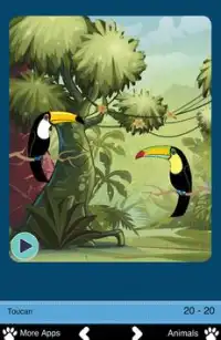 Тропические животные Screen Shot 2