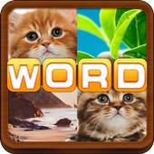 4 Pics 1 Word: What's The Word