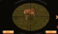 Wild Hunter: Sniper Screen Shot 3