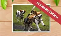 All Dog Games: Kids Screen Shot 2