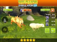 Wild Angry Lion Revenge Sim 3D Screen Shot 20