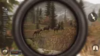 Deer Hunting Jungle Simulator Screen Shot 4