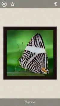 Butterflies Puzzles - 101 pictures Screen Shot 7