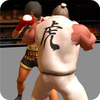 Файтинги Fight 2 Карате Борьба Kung Fu MMA UFC