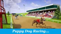 Dog Run - Pet Greyhound Dog Simulator Race 3D 2021 Screen Shot 3