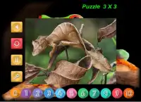 Puzzle Bizarre Animal Screen Shot 2