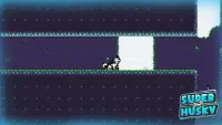 Super Husky: Adventure Platform Game Screen Shot 5