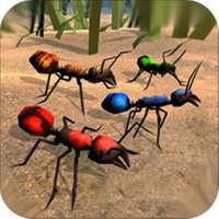 Ant world