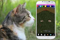 Katzen Pflege - Süße Kinder Kätzchen Simulation Screen Shot 5