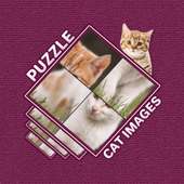 Cute Cat Puzzle